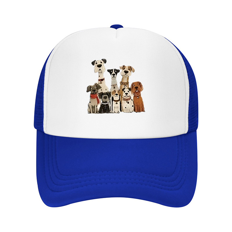 Nuovo Cappellino da Baseball E - Streetwear Brand Hats recensione e prezzo