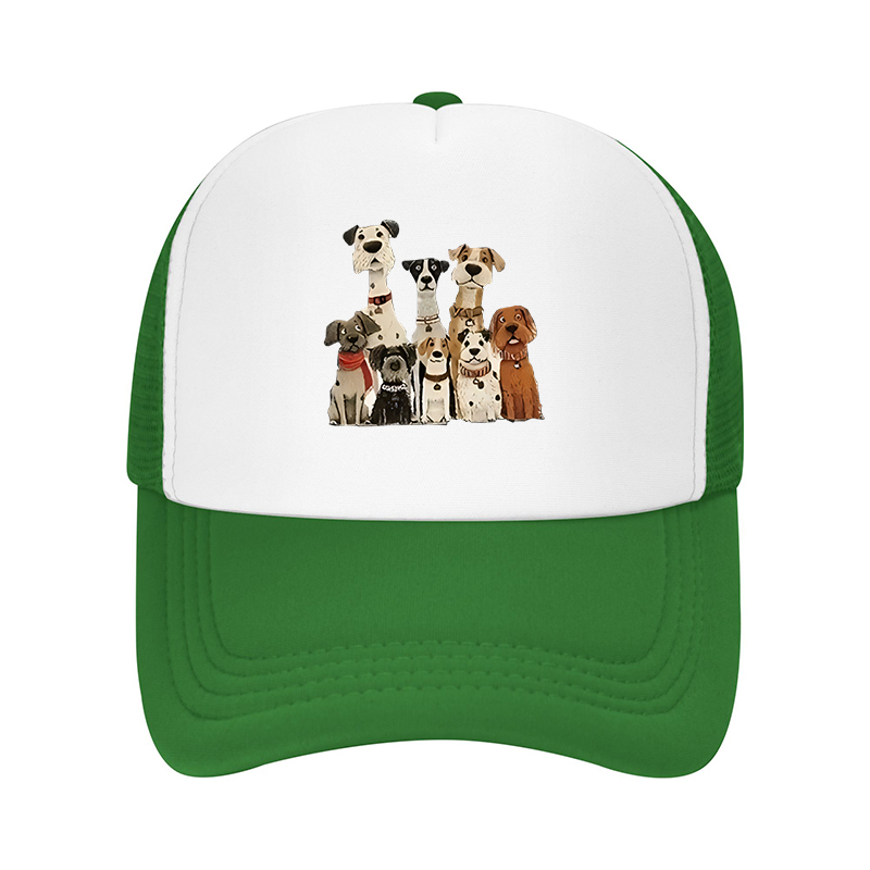 Nuovo Cappellino da Baseball E - Streetwear Brand Hats recensione e prezzo
