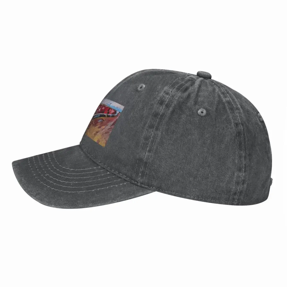 Nuovo berretto da baseball The - Streetwear Brand In Australia recensione e prezzo